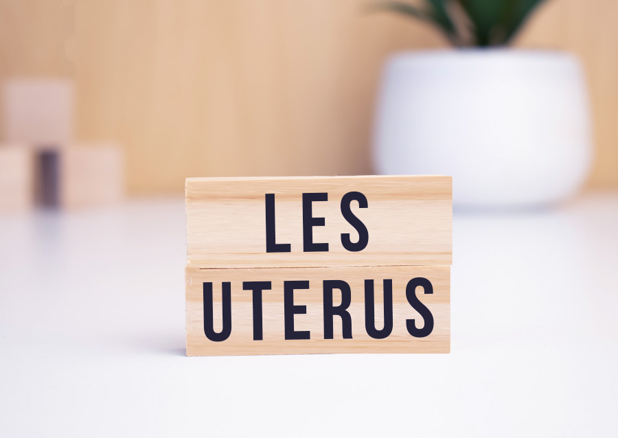Utérus antéversés, rétrofléchis, bicornes… Les différents types d’utérus