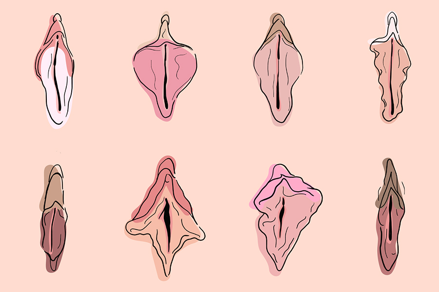 Lo que esconde la vulva: qué es, tipos y apariencia