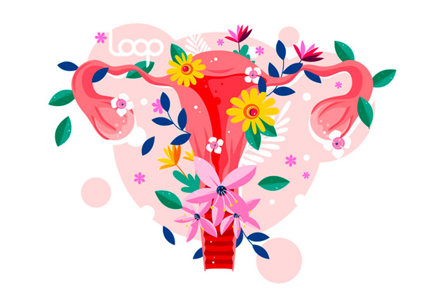 ¿Qué es la ovulación?