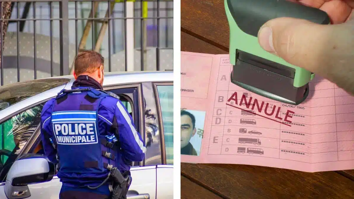 annulation du permis de conduire.jpg (1)